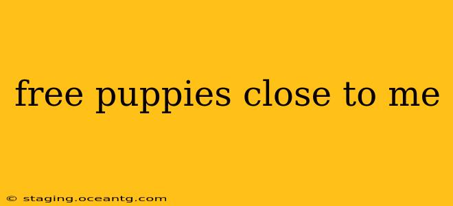 free puppies close to me