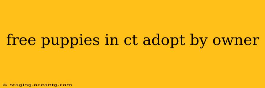 free puppies in ct adopt by owner