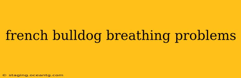 french bulldog breathing problems
