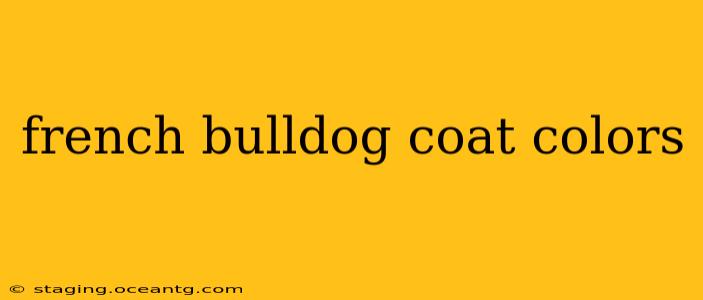 french bulldog coat colors