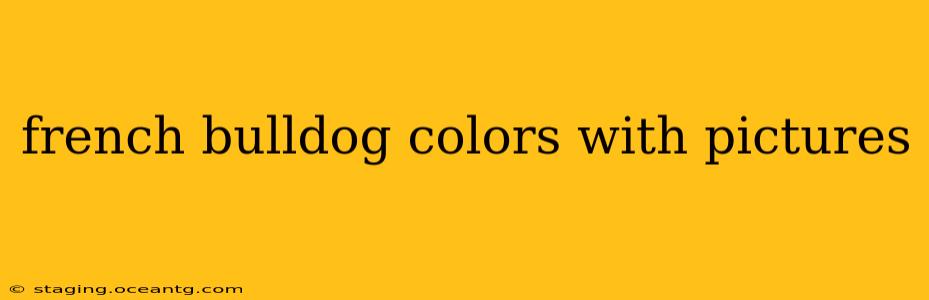 french bulldog colors with pictures