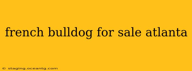 french bulldog for sale atlanta