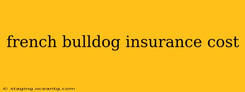 french bulldog insurance cost