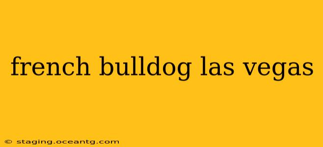 french bulldog las vegas