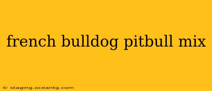 french bulldog pitbull mix
