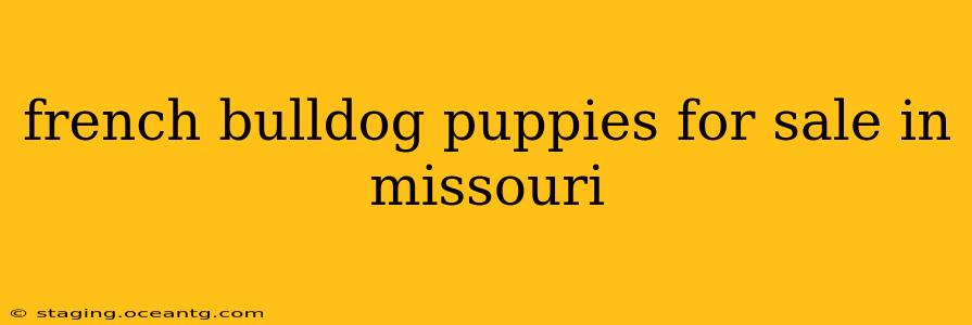 french bulldog puppies for sale in missouri