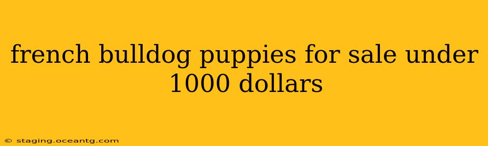 french bulldog puppies for sale under 1000 dollars