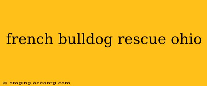 french bulldog rescue ohio