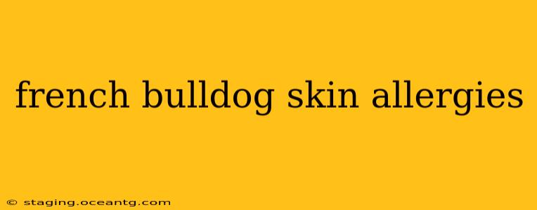 french bulldog skin allergies