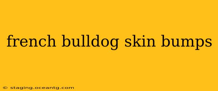 french bulldog skin bumps