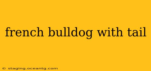 french bulldog with tail