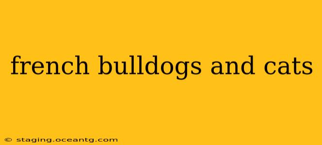 french bulldogs and cats