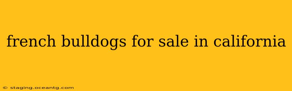 french bulldogs for sale in california