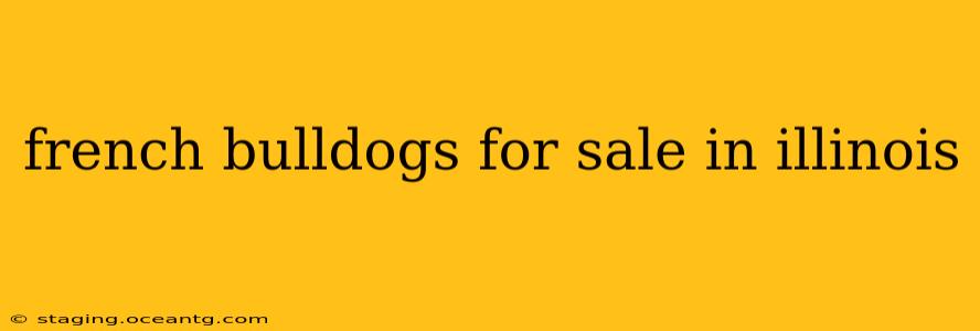 french bulldogs for sale in illinois