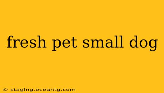 fresh pet small dog