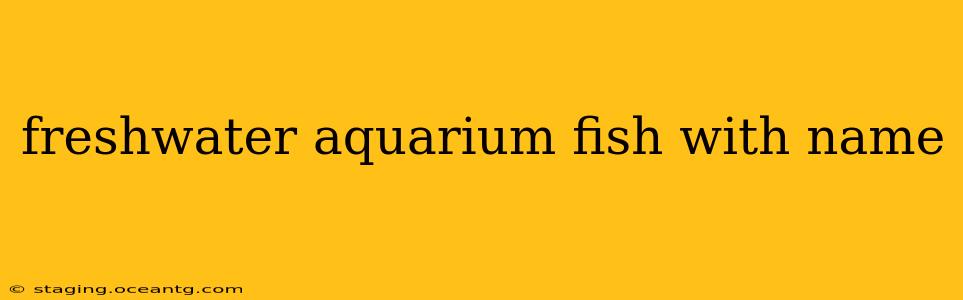 freshwater aquarium fish with name