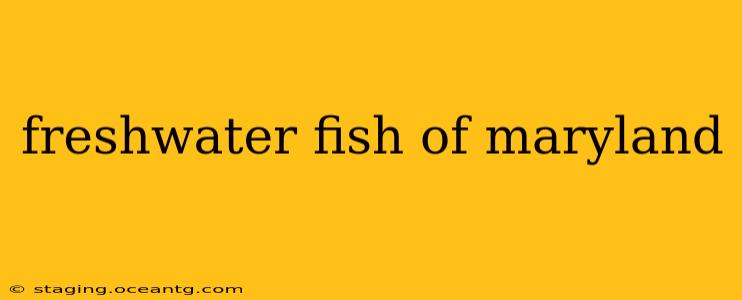 freshwater fish of maryland