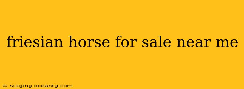 friesian horse for sale near me