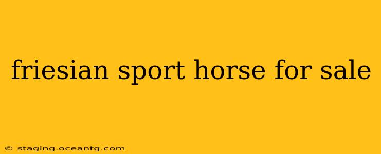friesian sport horse for sale