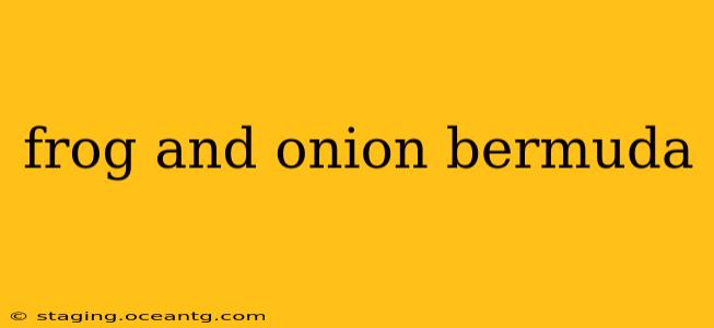 frog and onion bermuda
