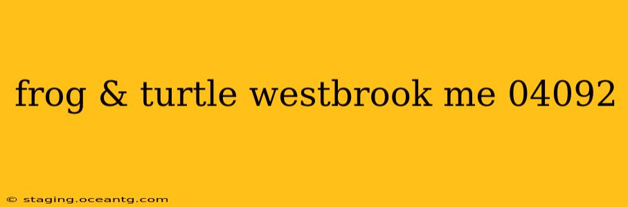 frog & turtle westbrook me 04092