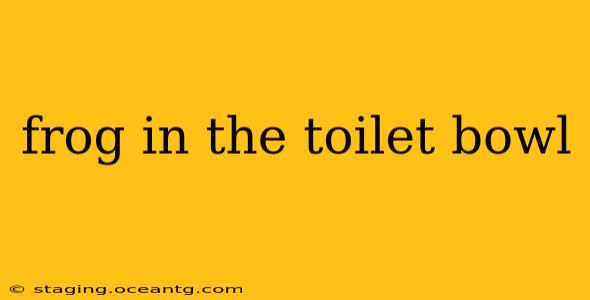 frog in the toilet bowl