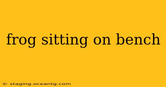 frog sitting on bench