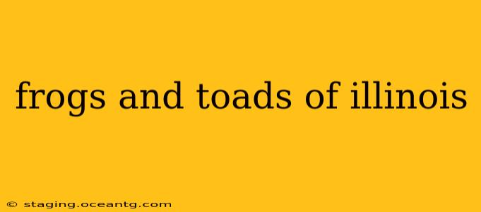 frogs and toads of illinois