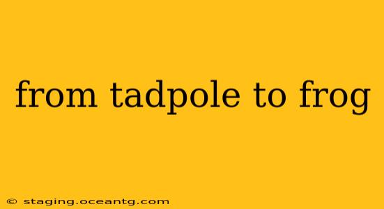 from tadpole to frog