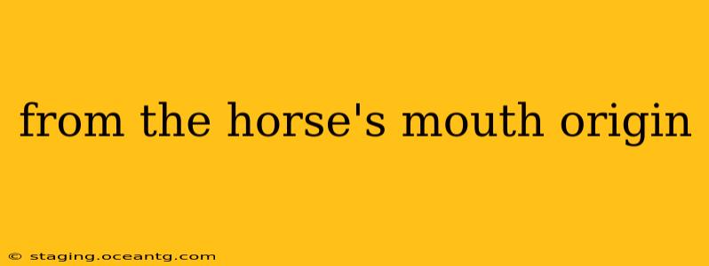 from the horse's mouth origin