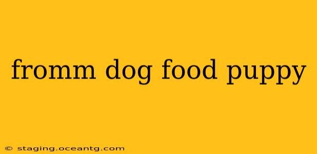 fromm dog food puppy