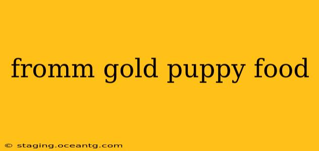 fromm gold puppy food