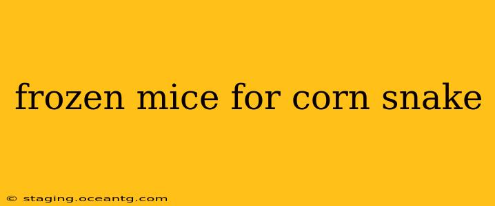frozen mice for corn snake