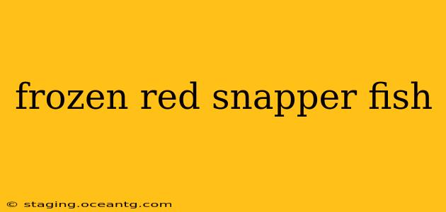 frozen red snapper fish