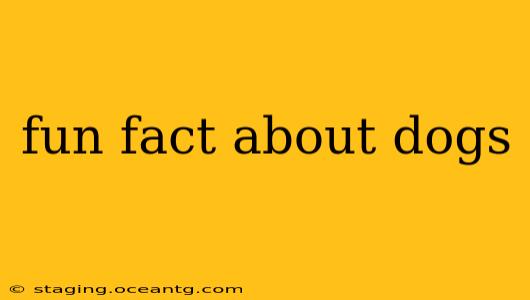 fun fact about dogs