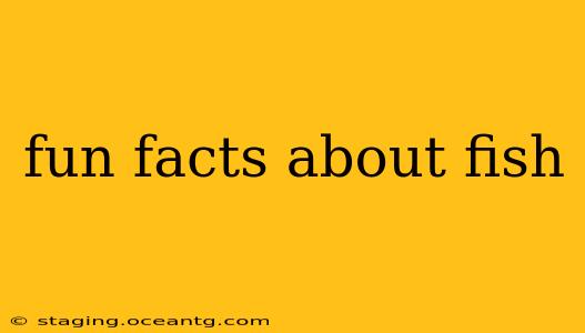 fun facts about fish