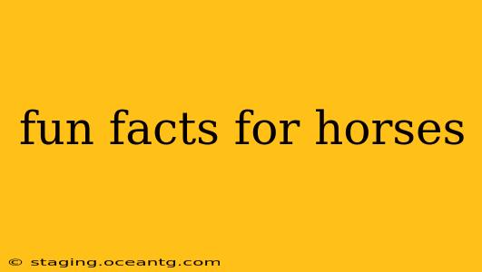 fun facts for horses