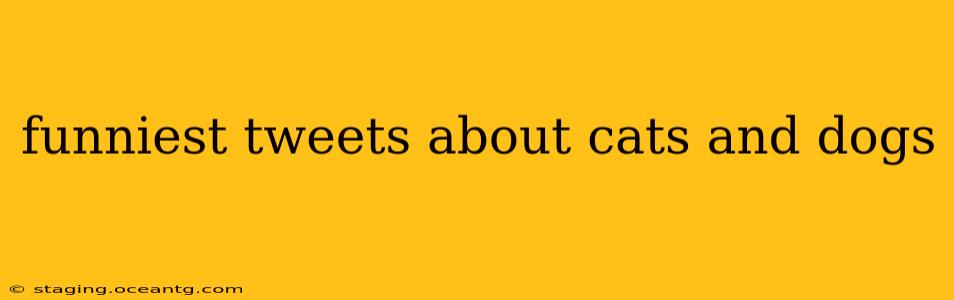 funniest tweets about cats and dogs