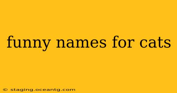 funny names for cats