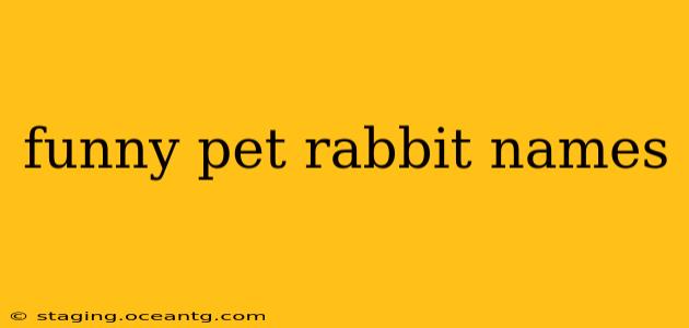 funny pet rabbit names