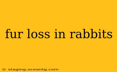 fur loss in rabbits