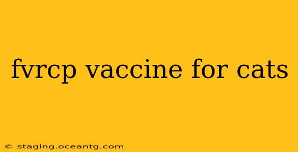 fvrcp vaccine for cats