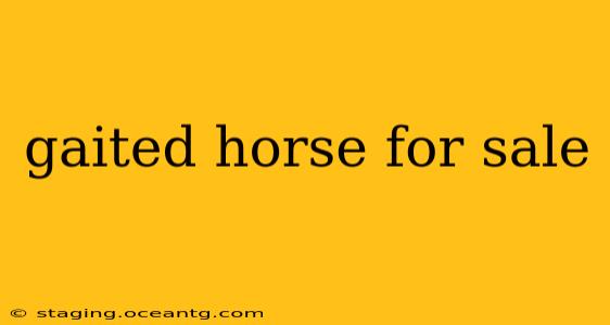 gaited horse for sale