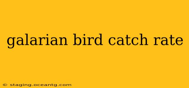 galarian bird catch rate