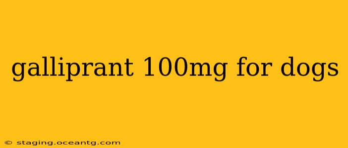 galliprant 100mg for dogs