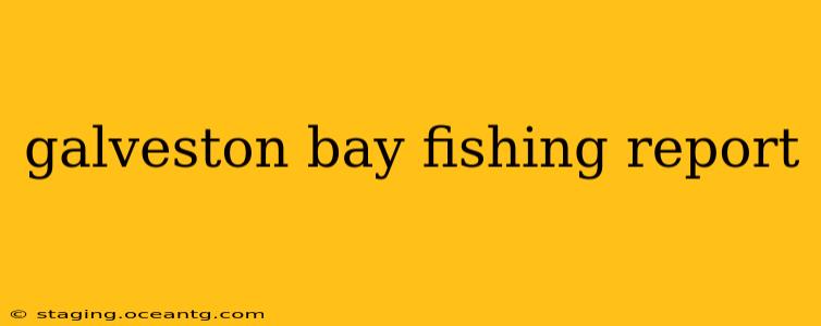 galveston bay fishing report