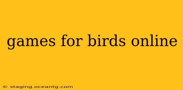 games for birds online