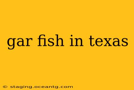 gar fish in texas