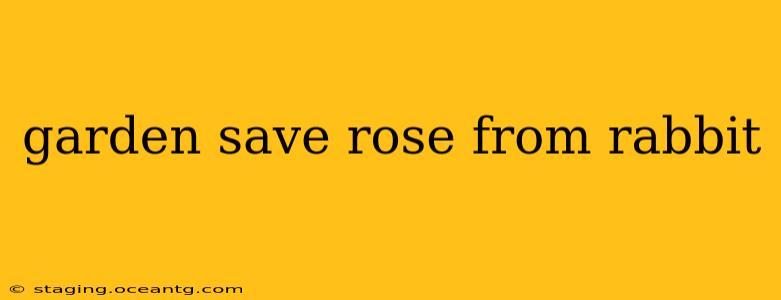garden save rose from rabbit