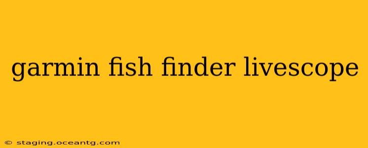 garmin fish finder livescope